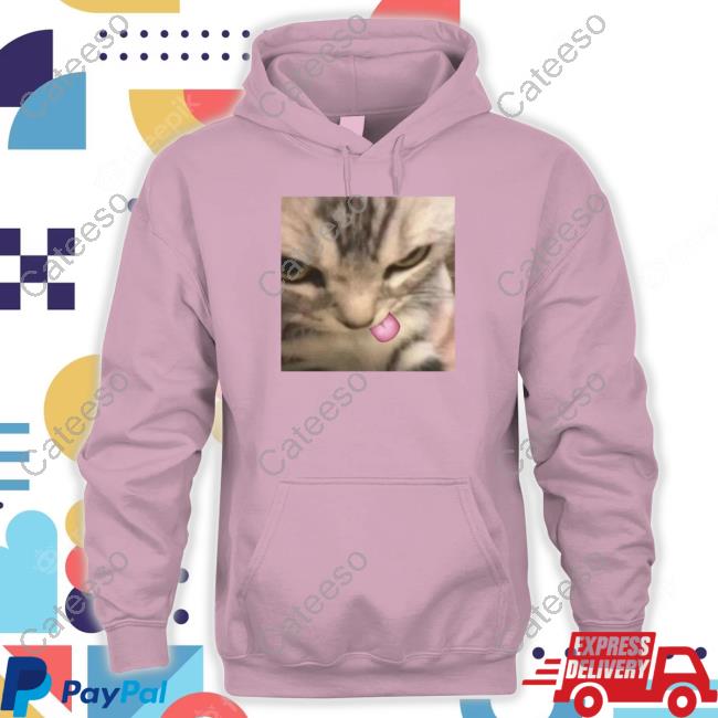 Silly Kitten Sweater