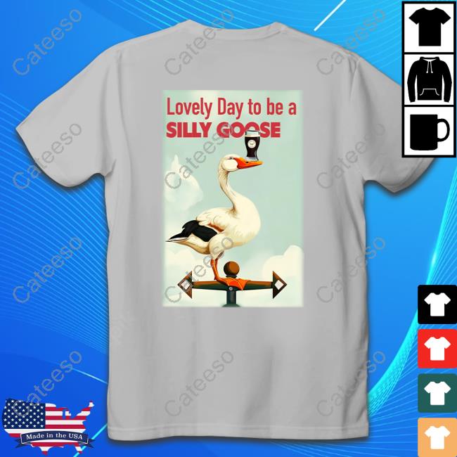 Middleclassfancy Merch Irish Lovely Day To Be A Silly Goose Long Sleeve T Shirt