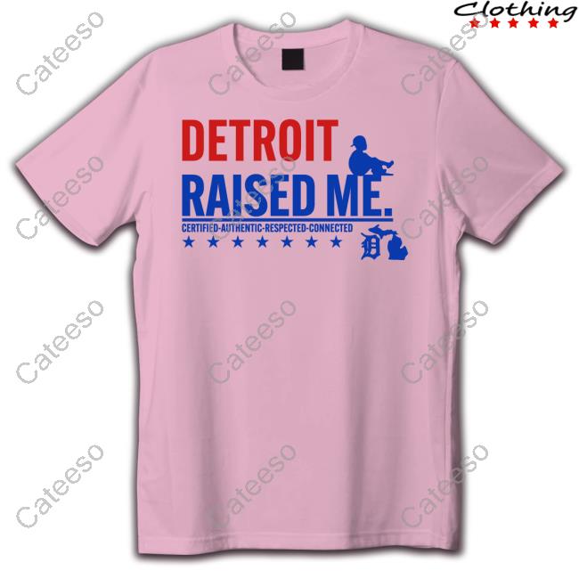 Three Thirteen Store Detroit Raised Me Certified Authentic Respected Connected T Shirt