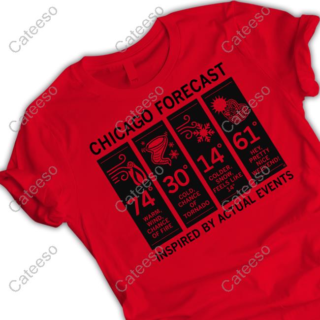 Raygun Chicago Forecast Inspired By Actual Events Tee Shirt