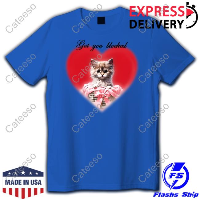 Concertleaks Got You Blocked Tee Shirt