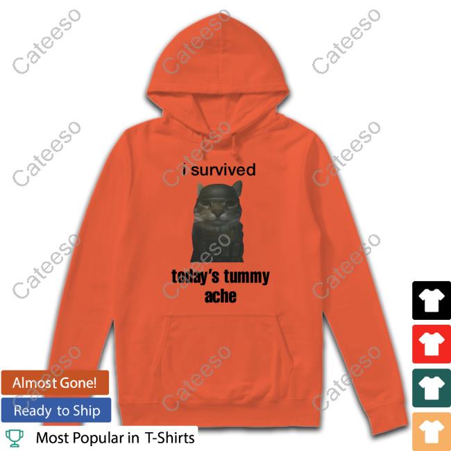 Sillyteestudio Shop I Survived Today's Tummy Ache Long Sleeve T Shirt