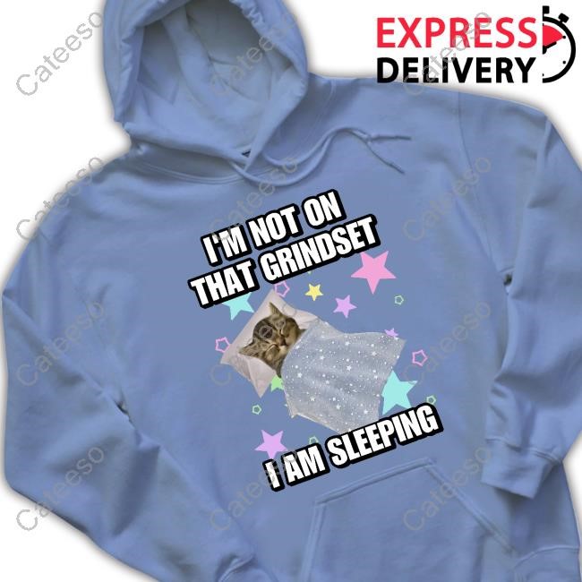I'm Not On That Grindset I’M Sleeping Tank Top