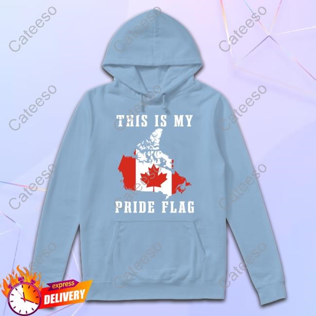 Pisashirt