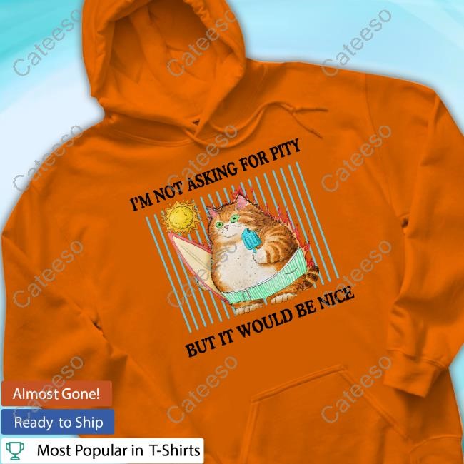 Jmcgg I'm Not Asking For Pity But It Would Be Nice Long Sleeve