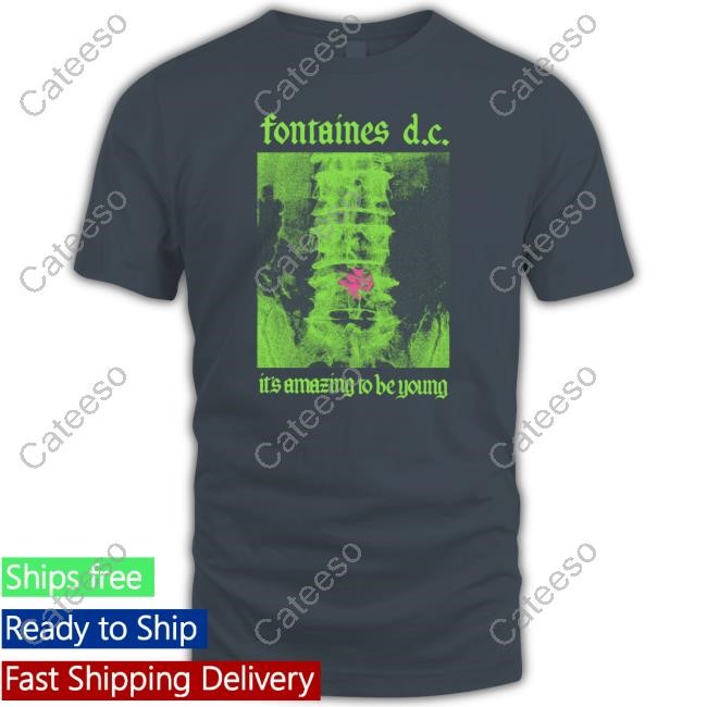 https://vivshirt.com/campaign/mino-choreno-fontaines-dc-amazing-to-be-young-shirt