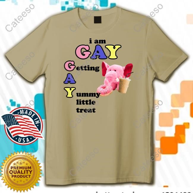I Am Gay Getting A Yummy Little Treat Hoodie