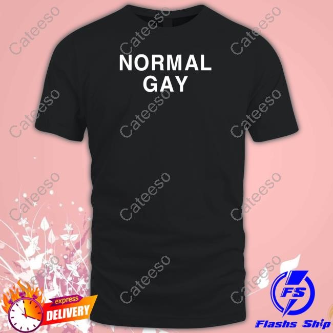 Normal Gay Hoodie
