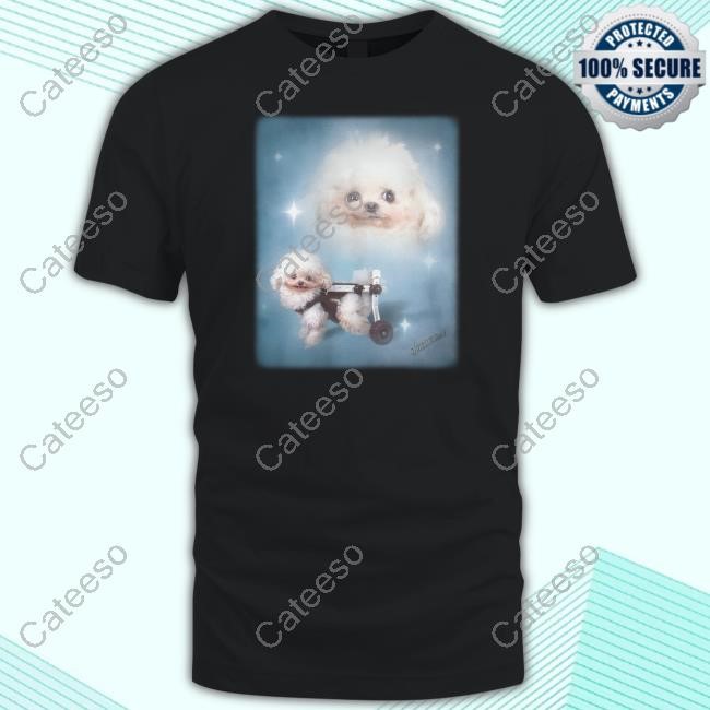 https://vrlstyl.com/TeeStorePro/olan-meows-luffy-shirt